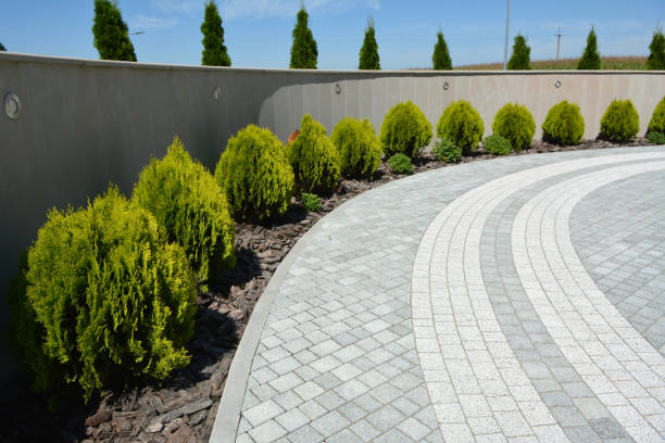 Reasons to Select Us for Your Driveway Paving Requirements in East Franklin, NJ